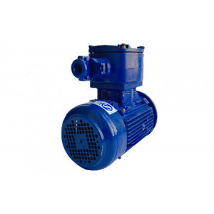 ExdIIBT4/ExdIICT4型电机