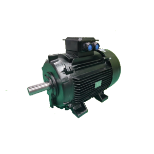 IE4永磁同步电机