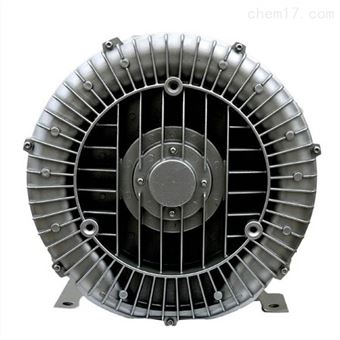 小型漩涡式气泵