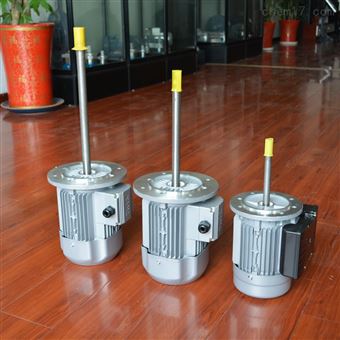 涂装流水线加长轴电机